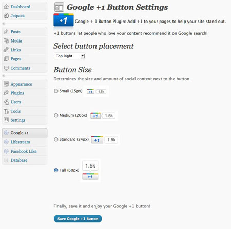 Google +1 WordPress Plugin