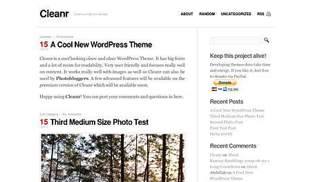 Cleanr WordPress Theme