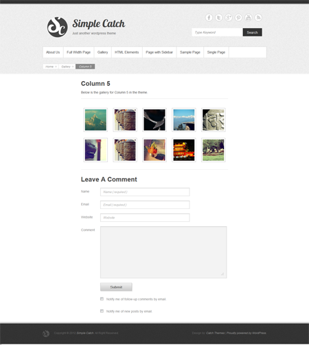 Simple Catch WordPress Theme