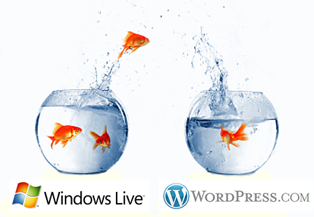 Windows Live Spaces WordPress.com Migration