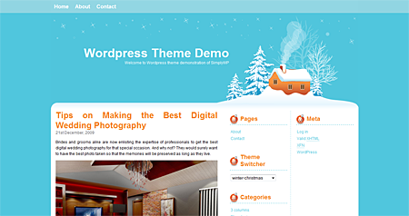 Winter Christmas WordPress Theme