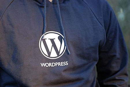 WordPress Hoodie