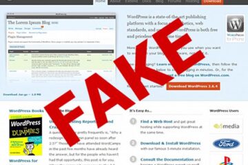fake wordpress site