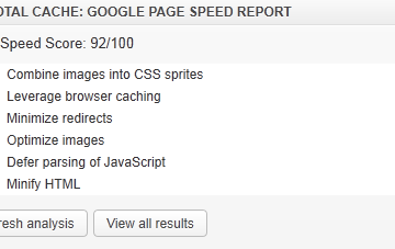 w3tc google page speed