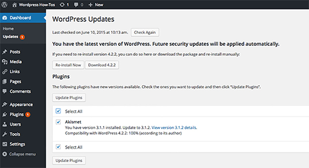 WordPress Updates