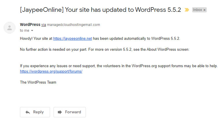 WordPress 5.5.2 Email Notification